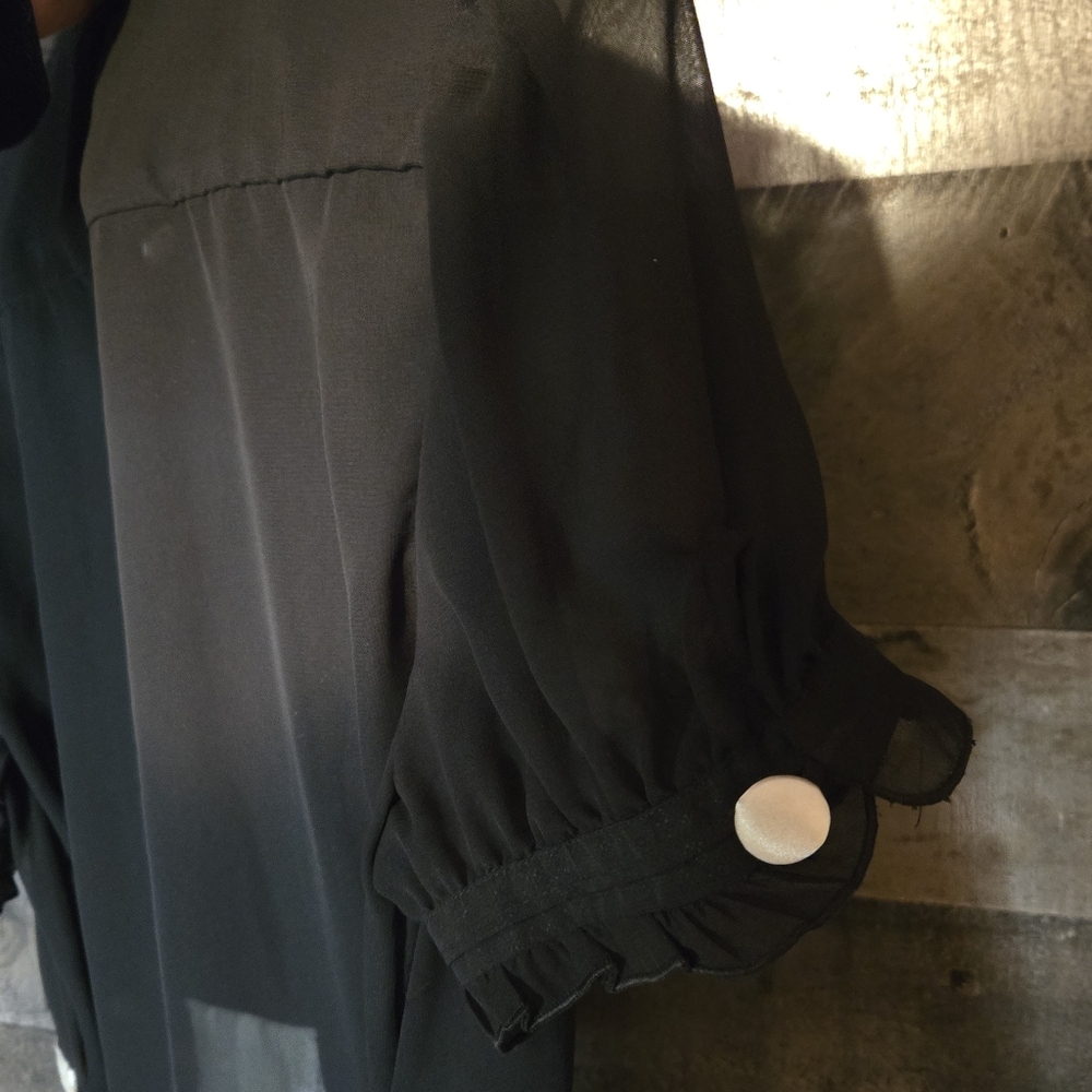 Cotton Express Black Ruffled Silk Blouse - Picture 4 of 7